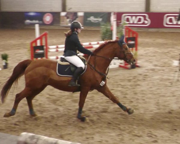 Reitturnier Heilbronn 2022