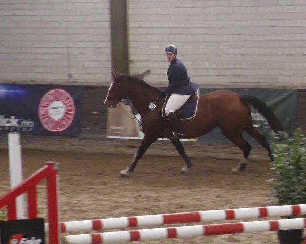 Reitturnier Heilbronn 2022