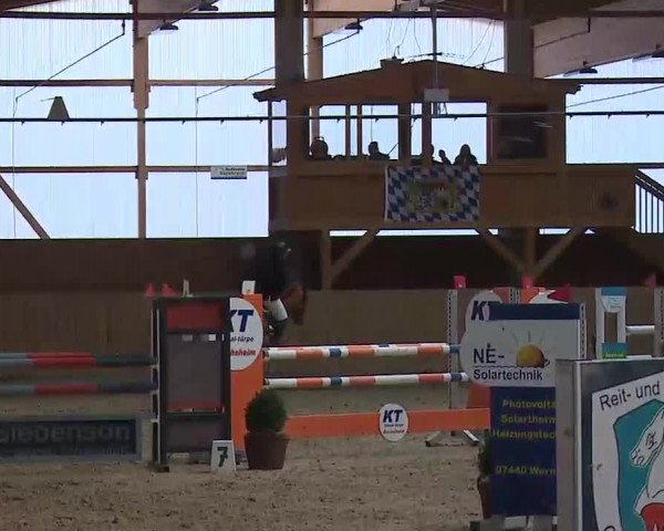 Reitturnier Grafenrheinfeld/Ufr. 2022