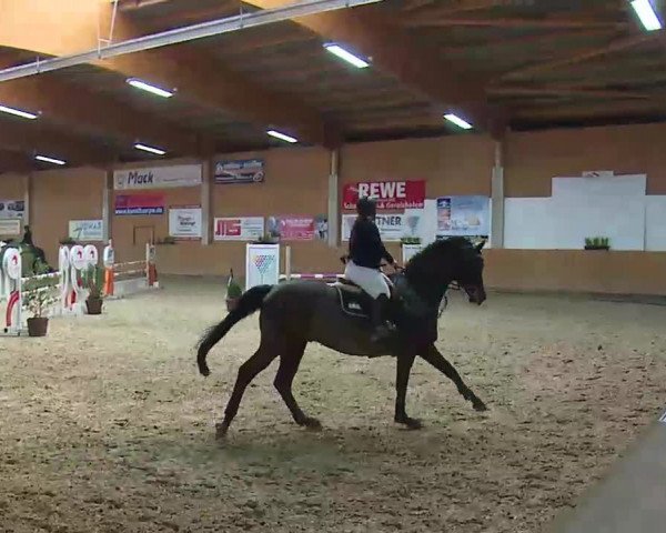 Reitturnier Grafenrheinfeld/Ufr. 2022