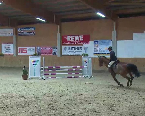 Reitturnier Grafenrheinfeld/Ufr. 2022