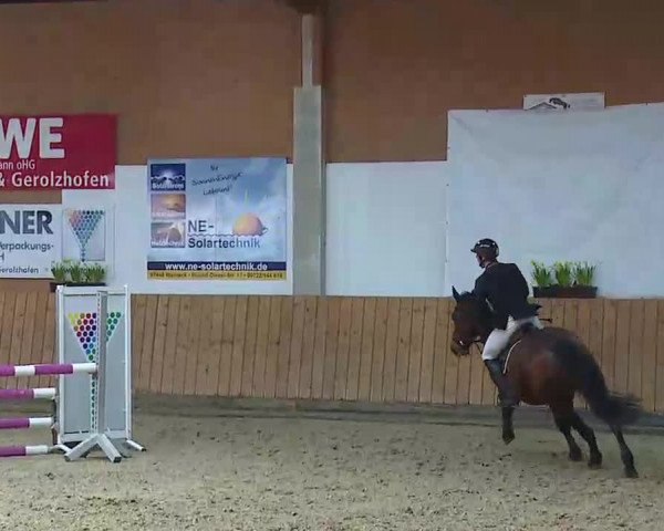 Reitturnier Grafenrheinfeld/Ufr. 2022