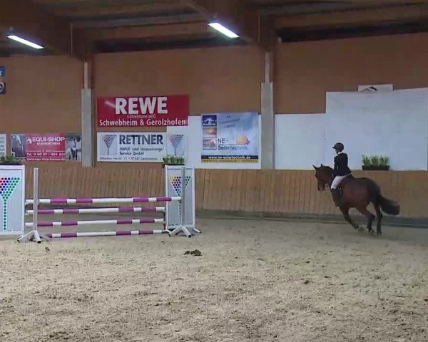 Reitturnier Grafenrheinfeld/Ufr. 2022