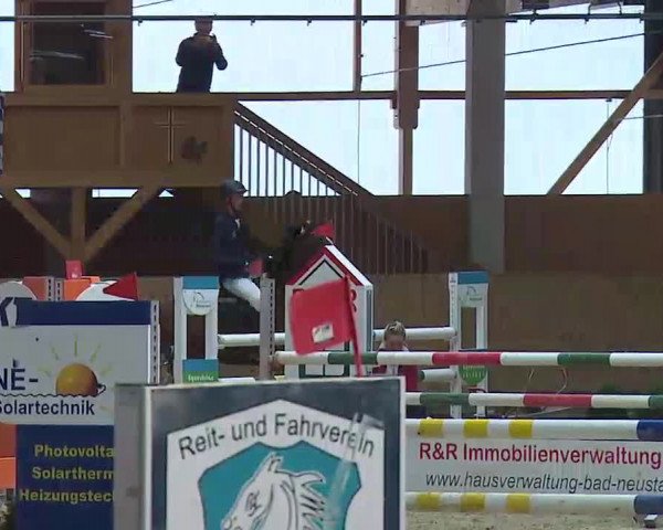 Reitturnier Grafenrheinfeld/Ufr. 2022