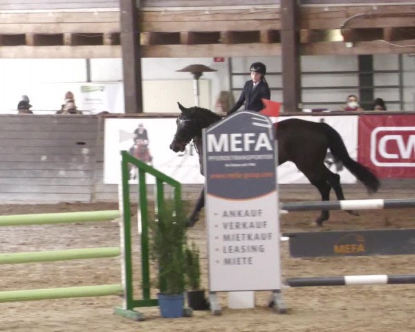 Reitturnier Heilbronn 2022