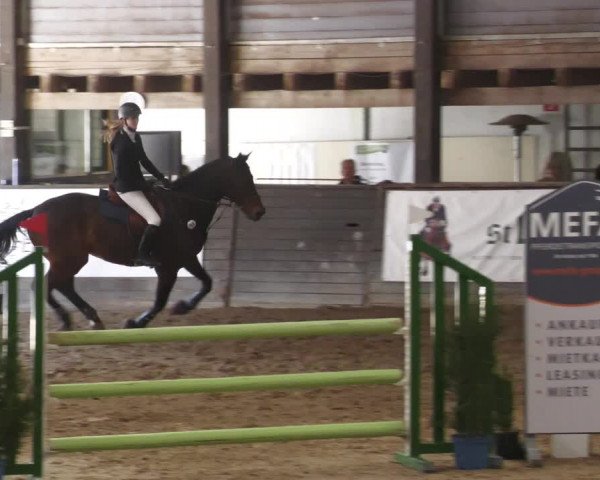 Reitturnier Heilbronn 2022