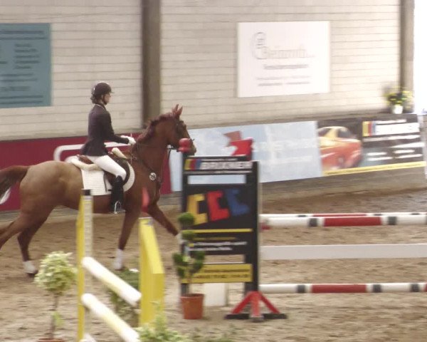 Reitturnier Heilbronn 2022