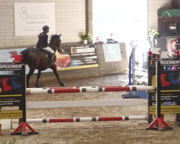 Reitturnier Heilbronn 2022