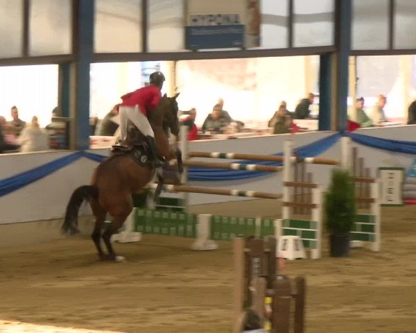 Reitturnier Buchs 2022