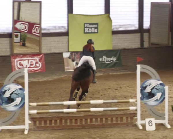 Reitturnier Heilbronn 2022