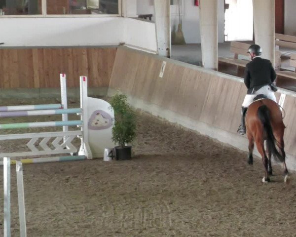 Reitturnier Köngen 2022
