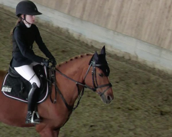 Reitturnier Köngen 2022