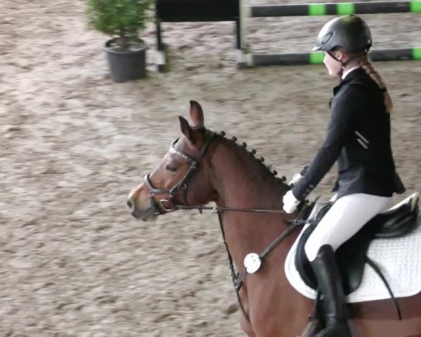 Reitturnier Köngen 2022