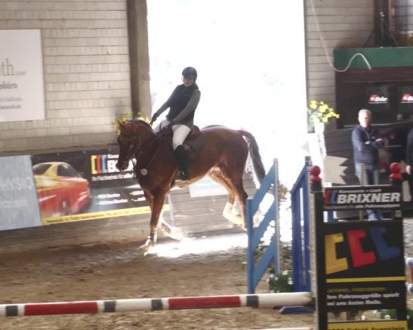 Reitturnier Heilbronn 2022