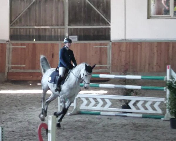Reitturnier Köngen 2022