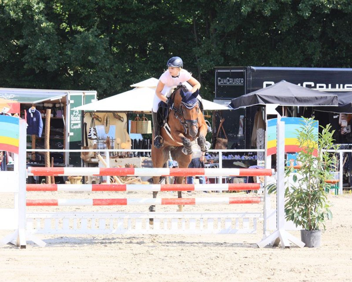 Springhest Conchicco (Holsteiner, 2007, fra Colandro)