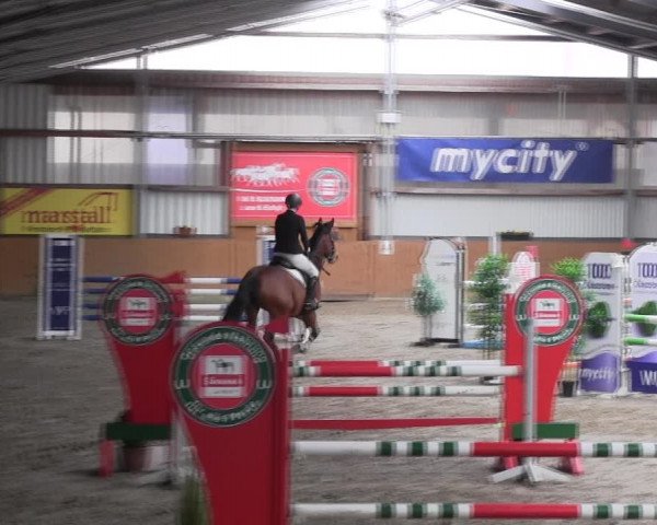 Reitturnier Schlieckau 2022