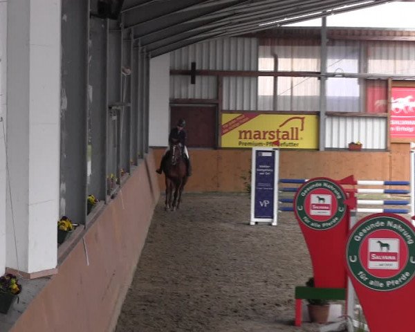 Reitturnier Schlieckau 2022
