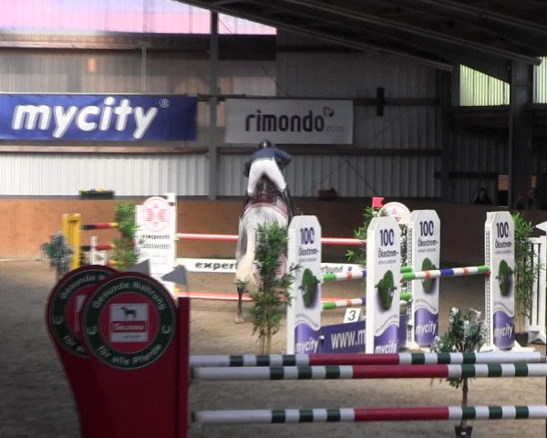 Reitturnier Schlieckau 2022