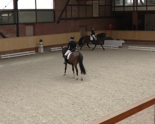 Reitturnier Hamburg-Friedrichshulde/Sylva Kuhrt 2022