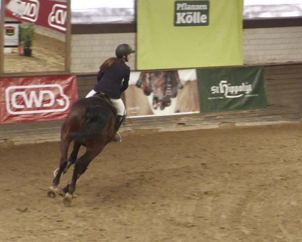Reitturnier Heilbronn 2022