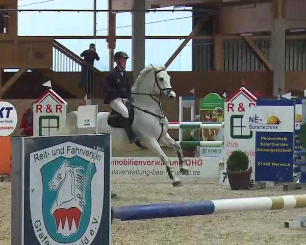 Reitturnier Grafenrheinfeld/Ufr. 2022