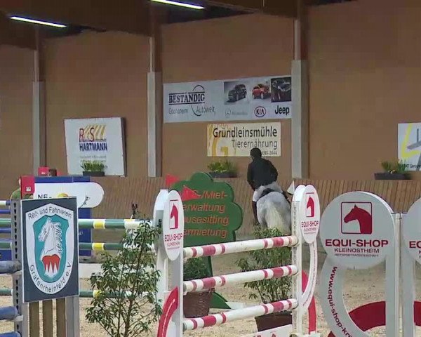 Reitturnier Grafenrheinfeld/Ufr. 2022