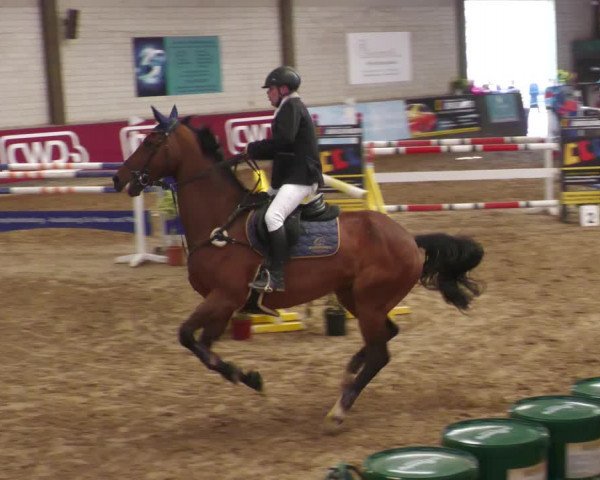 Reitturnier Heilbronn 2022
