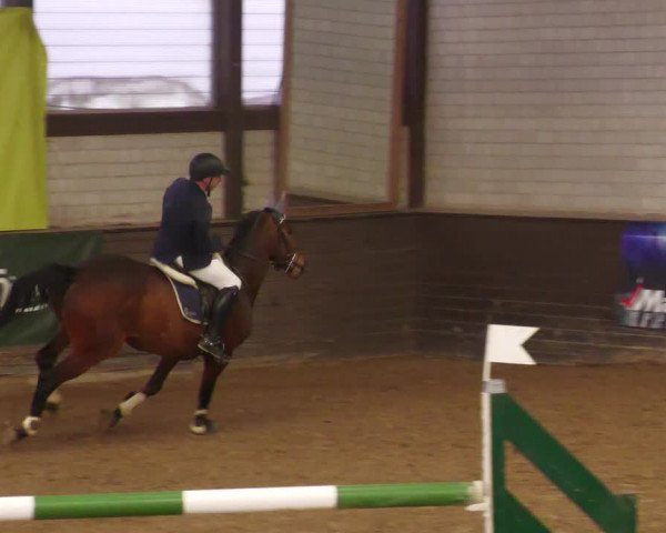 Reitturnier Heilbronn 2022