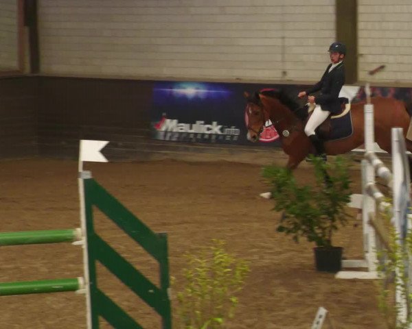 Reitturnier Heilbronn 2022