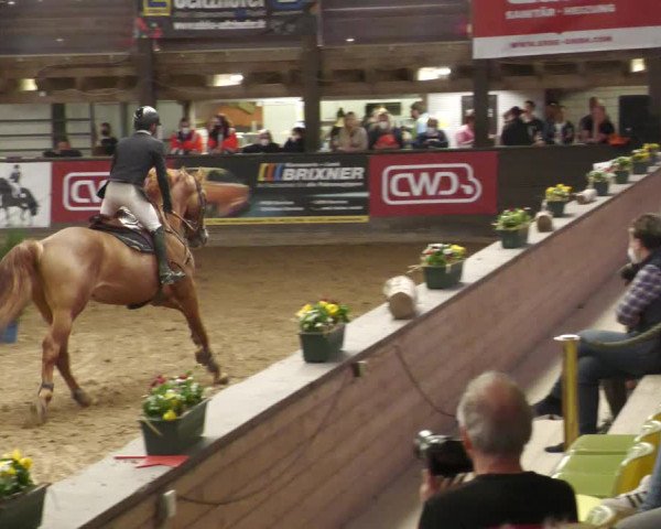 Reitturnier Heilbronn 2022
