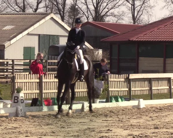 Reitturnier Schülp / Rendsburg 2022
