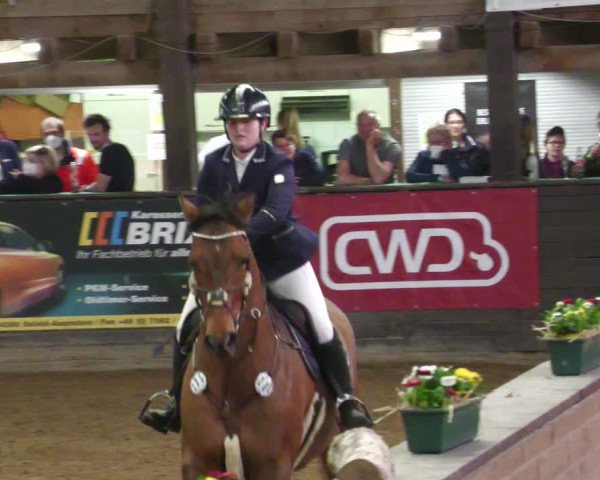 Reitturnier Heilbronn 2022