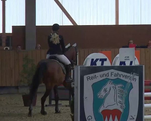 Reitturnier Grafenrheinfeld/Ufr. 2022