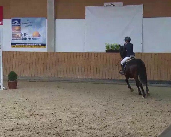 Reitturnier Grafenrheinfeld/Ufr. 2022