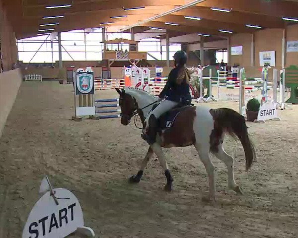 Reitturnier Grafenrheinfeld/Ufr. 2022