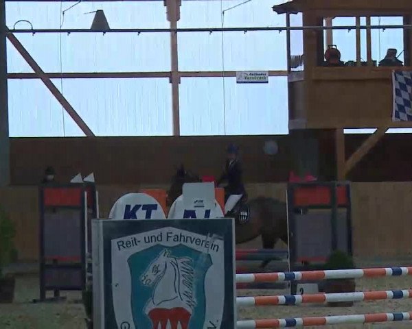 Reitturnier Grafenrheinfeld/Ufr. 2022