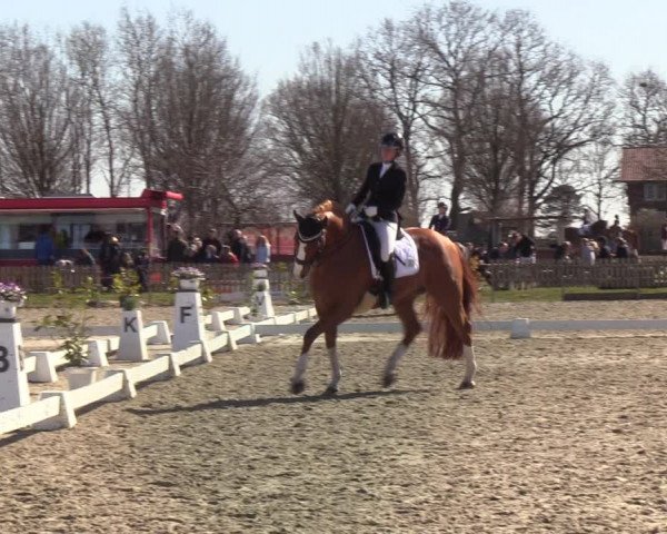 Reitturnier Schülp / Rendsburg 2022