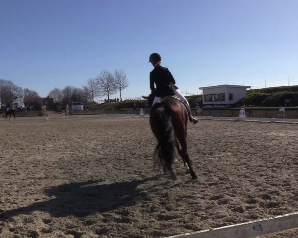 Reitturnier Schülp / Rendsburg 2022