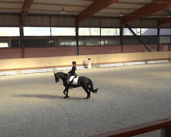 Reitturnier Hamburg-Friedrichshulde/Sylva Kuhrt 2022
