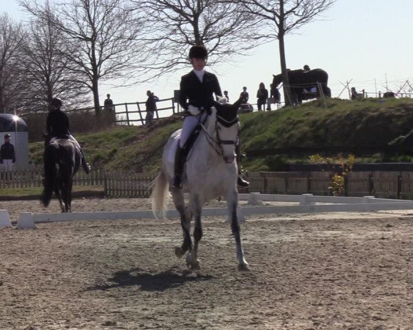 Reitturnier Schülp / Rendsburg 2022