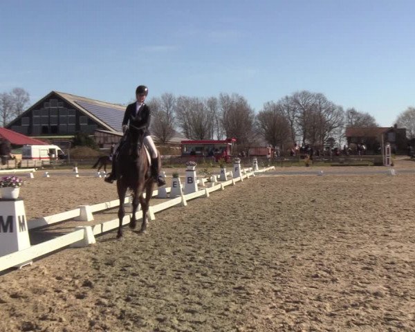 Reitturnier Schülp / Rendsburg 2022