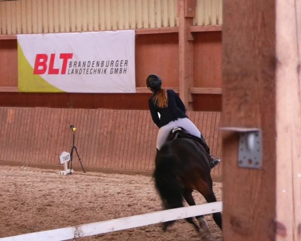 Reitturnier Lentzke - Reitanlage Krehl 2022