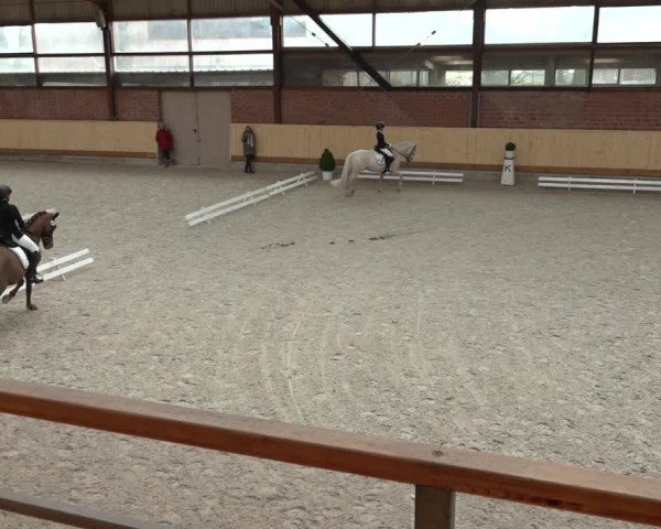Reitturnier Hamburg-Friedrichshulde/Sylva Kuhrt 2022