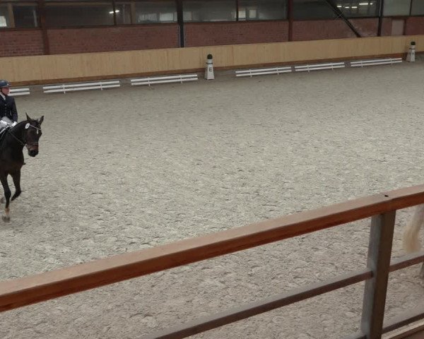 Reitturnier Hamburg-Friedrichshulde/Sylva Kuhrt 2022