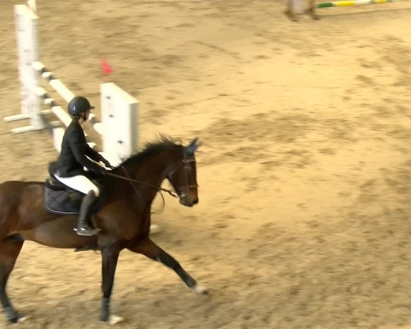 Reitturnier Schaffhausen 2022