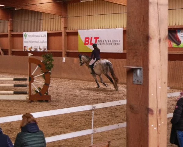 Reitturnier Lentzke - Reitanlage Krehl 2022