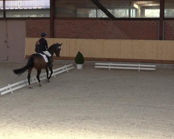 Reitturnier Hamburg-Friedrichshulde/Sylva Kuhrt 2022