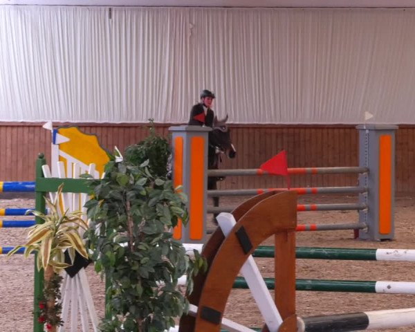 Reitturnier Lentzke - Reitanlage Krehl 2022