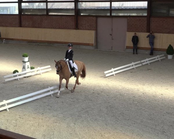 Reitturnier Hamburg-Friedrichshulde/Sylva Kuhrt 2022